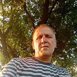 , 52, 