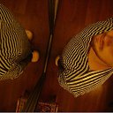 ���� &nbsp; &nbsp;, ������ - ��������� 4 ������� 2026 � ������ ������ ��������
