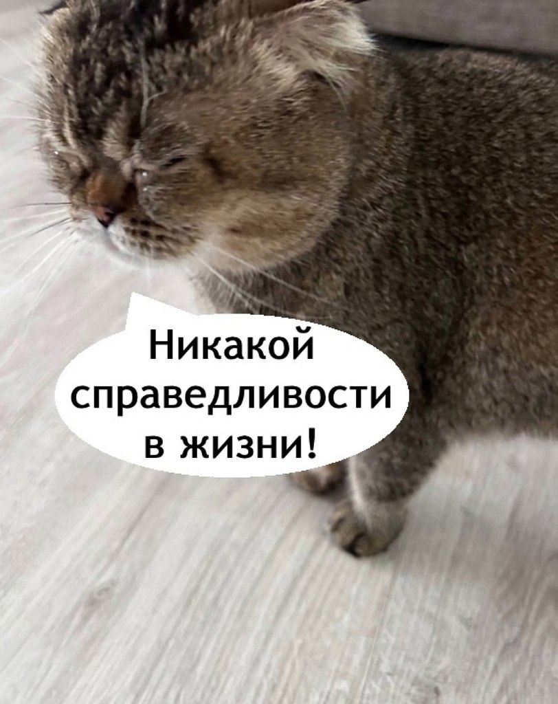   - 3