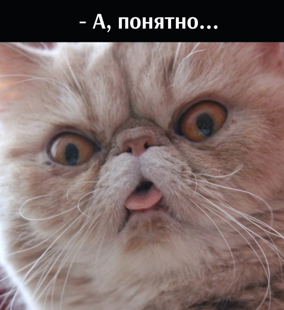       - 2  2025  11:10 - 3