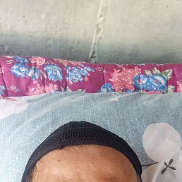 , 37, 