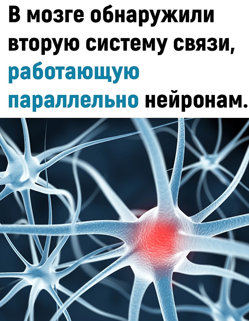 o�oe �cc�e�o�a��e �o�a�a�o, ��o ac�po���� � ��e���, �o�op�e �o��o c���a��c� ���� �o�c�����a���� ... - 2