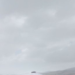 �����, 54 ����, ���