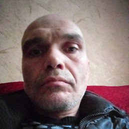 �������, ������, 46 ���