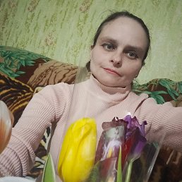 ���� ����, �����������, 40 ��� - ��������� 31 ����� 2026