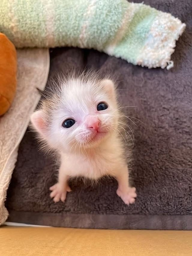 ��� ��������� �� �����: