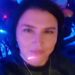 ����, ������, 46 ���