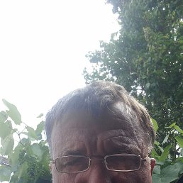 , 54, 