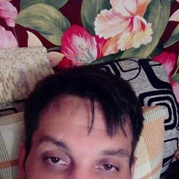 ���� �����, ���������, 43 ���� - ��������� 28 ������� 2023