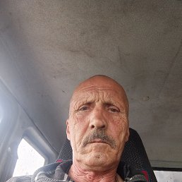, 65, 