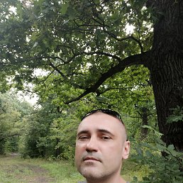 , 45, 