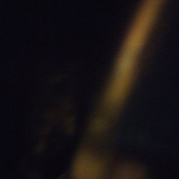 ����, �����-���������, 44 ����