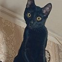 ���� �������, ������, 55 ��� - ��������� 28 ��� 2025 � ������ ������� ���