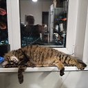 ���� ����, ������������, 60 ��� - ��������� 26 ������� 2026 � ������ ���� ����������
