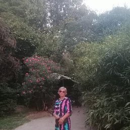 ��������, ����������, 59 ���