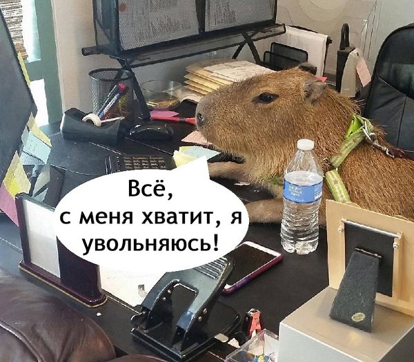 Вот так вот, будете жалеть что мы ушли