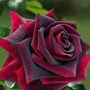 ���� ������, ������������ - ��������� 17 ������� 2025 � ������ ������ ��������