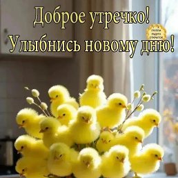 ���� ���, ������, 55 ��� - ��������� 26 ������ 2026