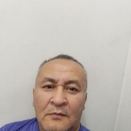 , 52, 