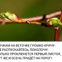 ���� �������, �����-���������, 60 ��� - ��������� 30 ����� 2025 � ������ ������ ��������