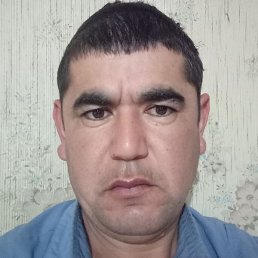 �����, �������, 38 ���