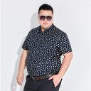 ���� ���������, ���������, 66 ��� - ��������� 12 ����� 2024 � ������ ���� ����������