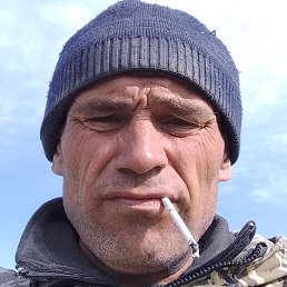 �������, ������, 41 ���