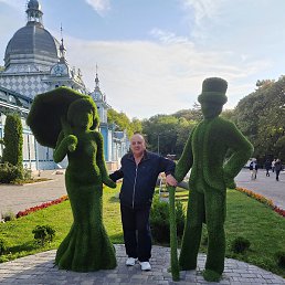 ��������, ������, 65 ���