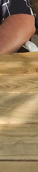 Igor, ������