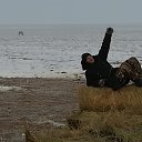 ���� ����, ������, 52 ���� - ��������� 15 ����� 2025 � ������ ���� ����������