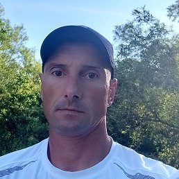  , 46 , 