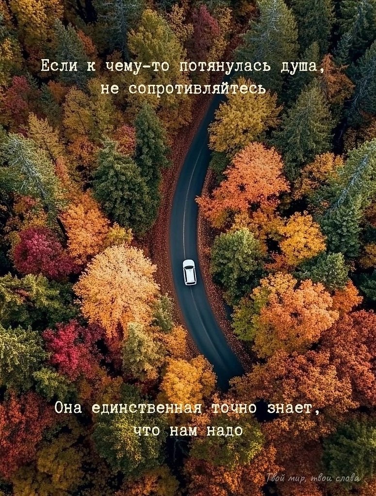   - 23  2025  19:07