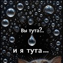 ���� ����, ����� - ��������� 5 ��� 2026 � ������ ������ ��������