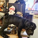 ���� ����, ������-��-����, 58 ��� - ��������� 24 ������ 2026