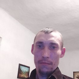 , 33, 