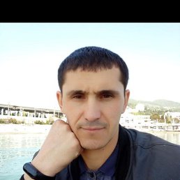 , 33 , 