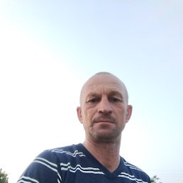 , 46, 