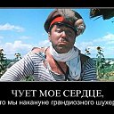 ���� ������ ����, ����, 65 ��� - ��������� 1 ������ 2025