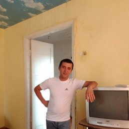 ���� ������, ���������, 44 ���� - ��������� 12 ������ 2026