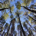 ���� C������, �������� - ��������� 6 ������� 2025 � ������ ���� ����������