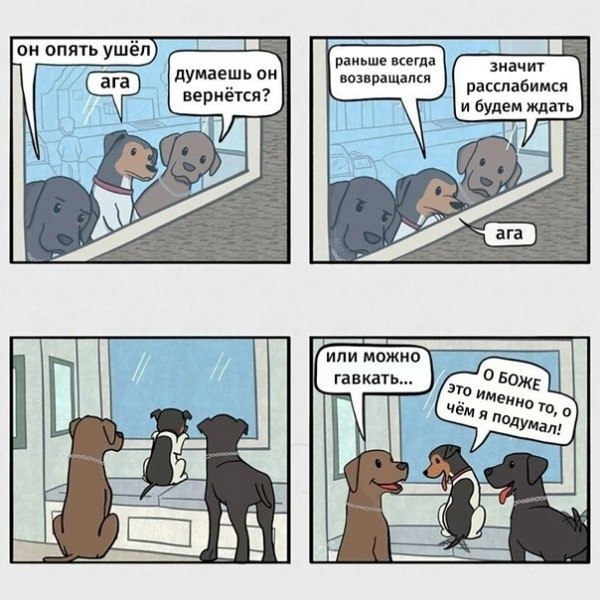������, ��� ��������� ����