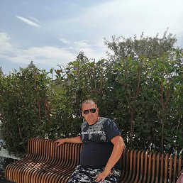 , 41, 