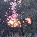 ���� �����, ���������, 51 ��� - ��������� 4 ���� 2026 � ������ �������� �������..�