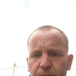  , 41 , 