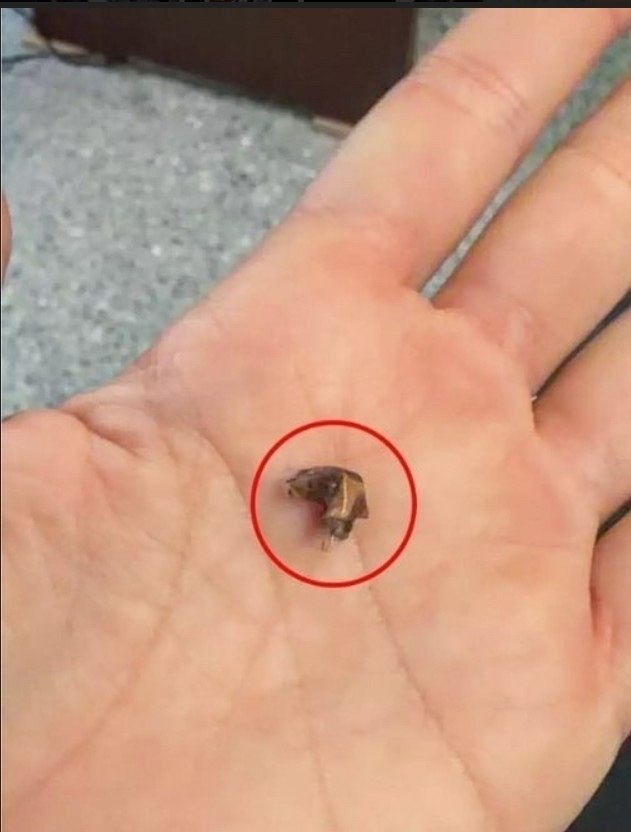 ������� 35 ��� ������ ���� � ���������� ������������ � ���� � ���� �� �����������, � ��� ����. ... - 3