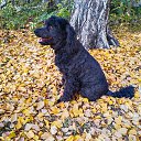 ���� ������, ������������, 47 ��� - ��������� 14 ������ 2025 � ������ ������ ��������