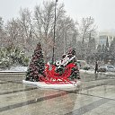 ���� ��������, �������� - ��������� 31 ������� 2025 � ������ ���� ����������