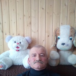 ������, 62 ����, ���������