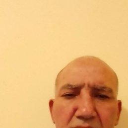   , 52 , 