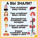 ���� �����)), ������ - ��������� 25 ���� 2025 � ������ ������ ��������